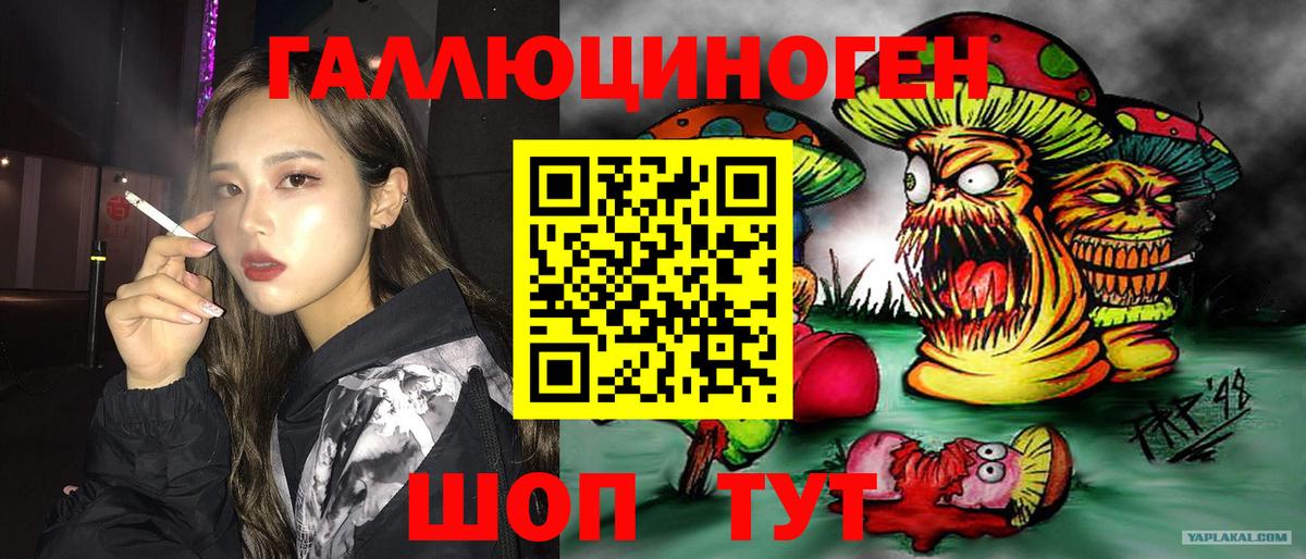 Псилоцибиновые грибы GOLDEN TEACHER Люберцы